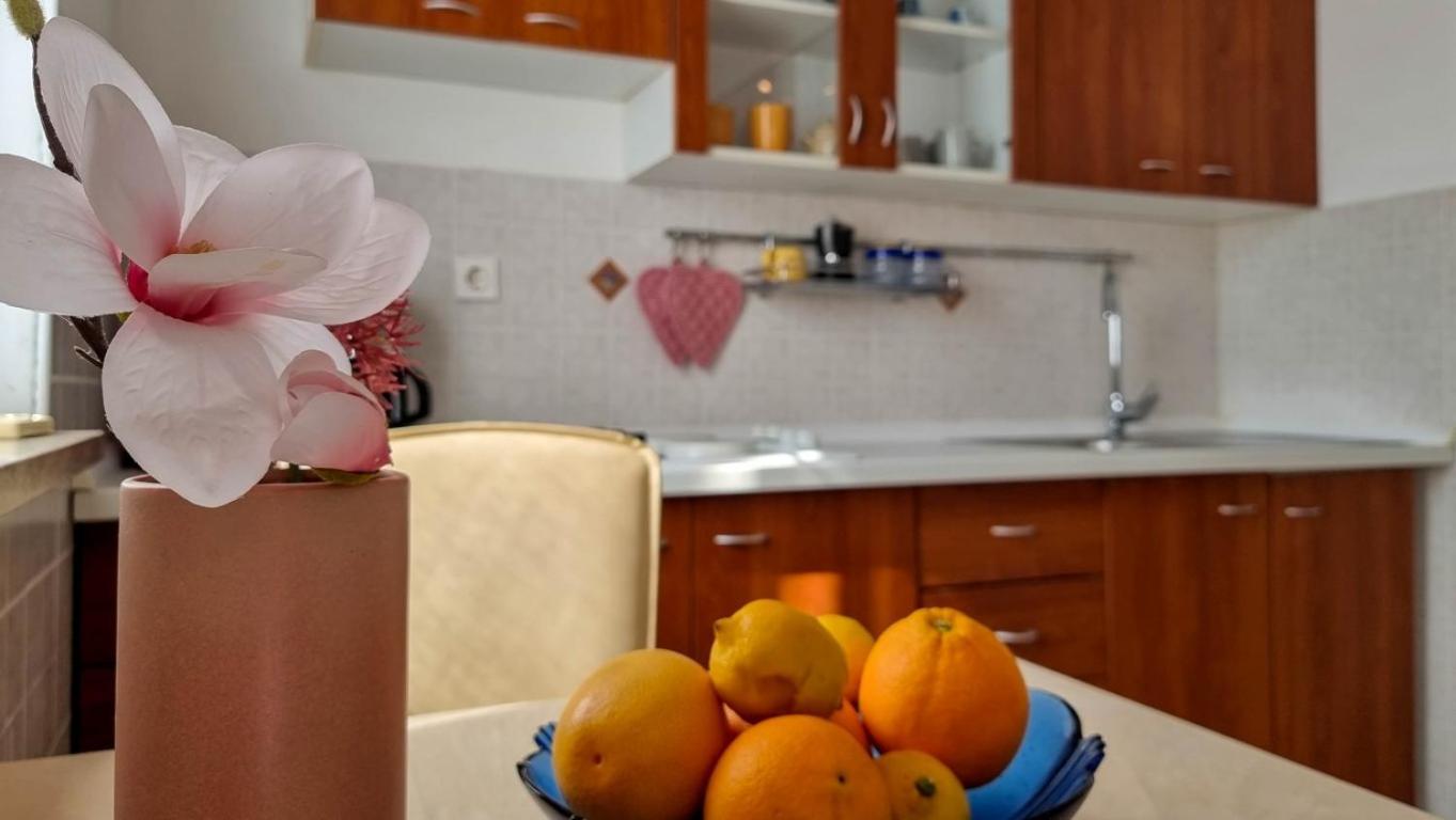 Marinela Studio Novigrad Istria Extérieur photo